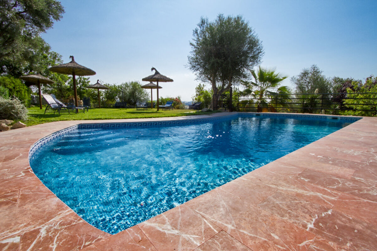 Swimming pool view House Petra
