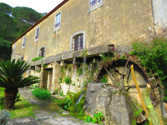 Haus für 2 Pers. mit Zugang zum Pool und Terrasse in Porto de Mós