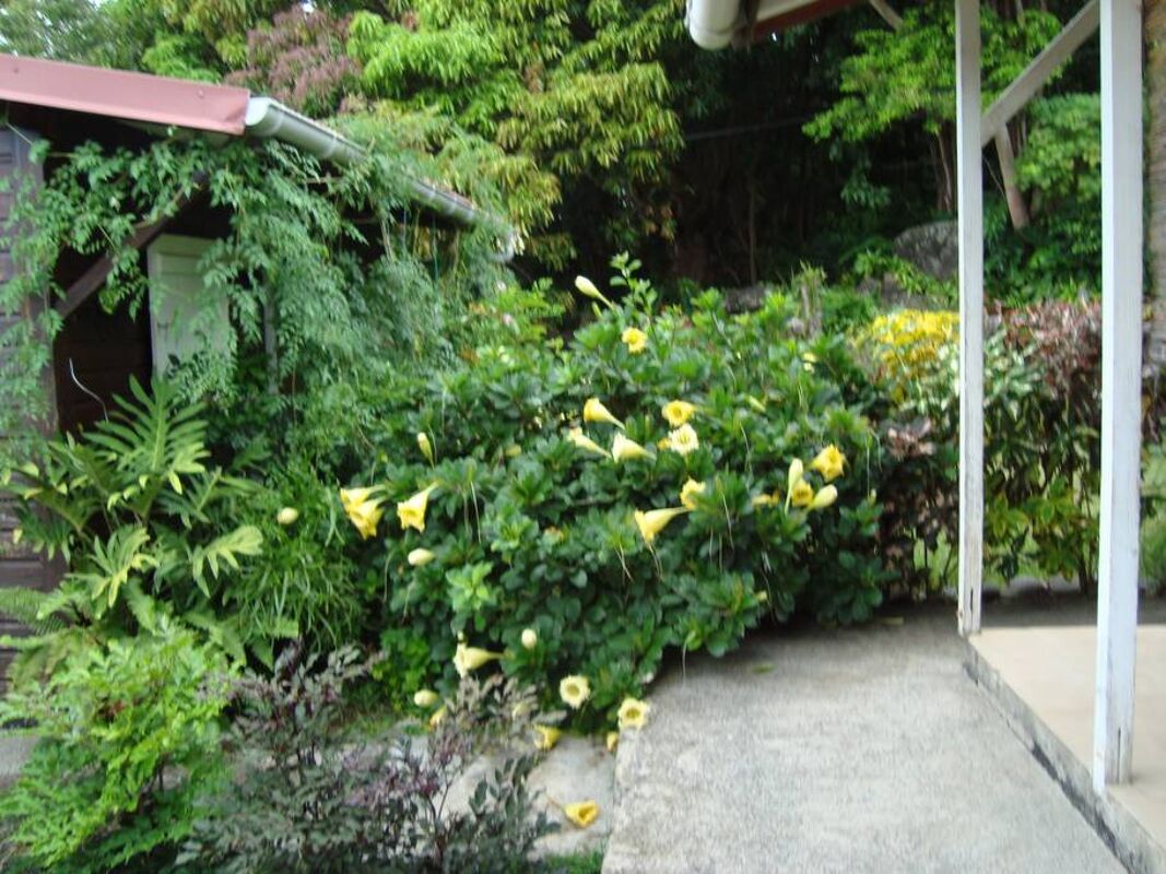 Jardín Bungaló undefined