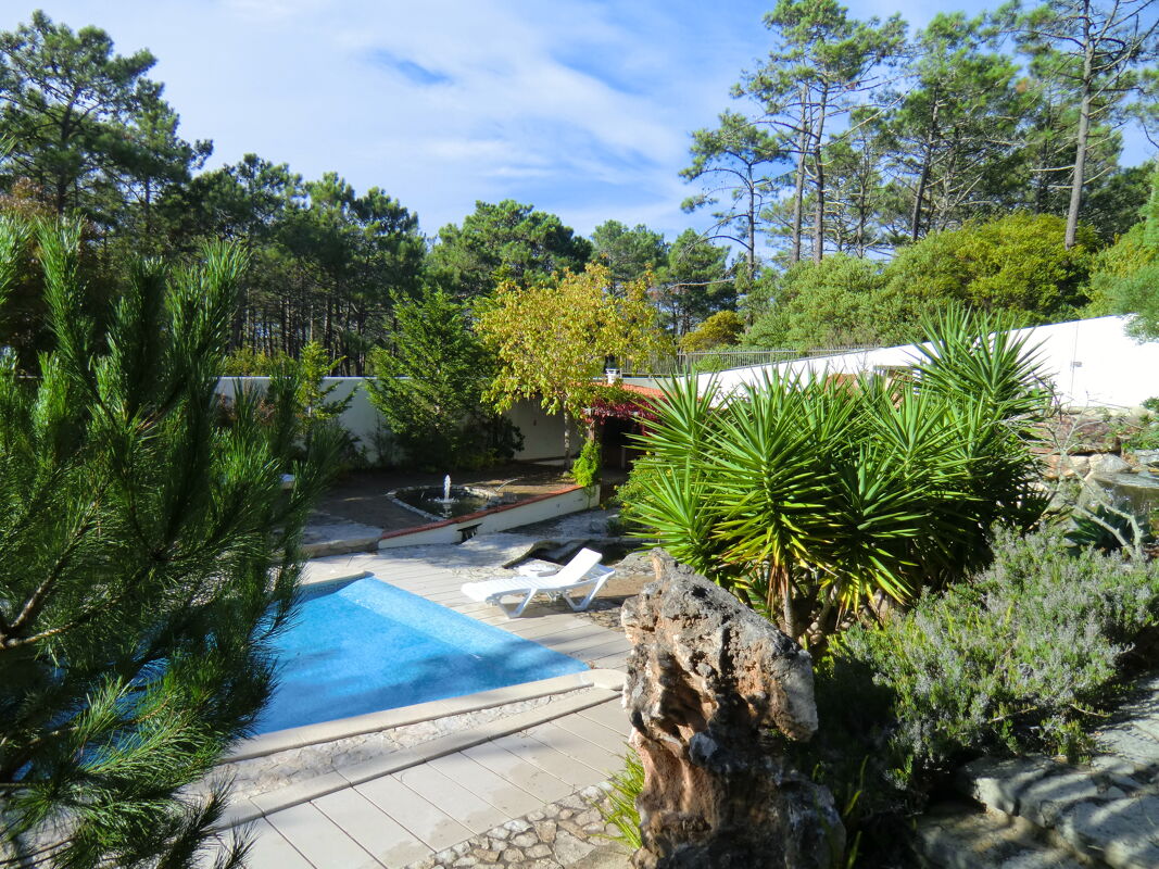 Vista a la piscina Villa Pataias