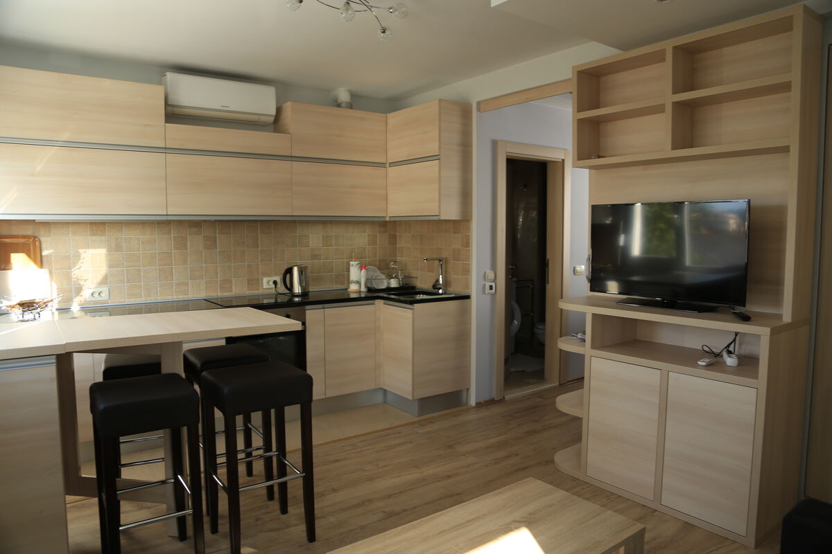 Kitchen Apartment Tivat