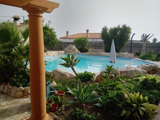 Casa a 1 km dalla spiaggia per 6 pers. con accesso piscina a Oliva