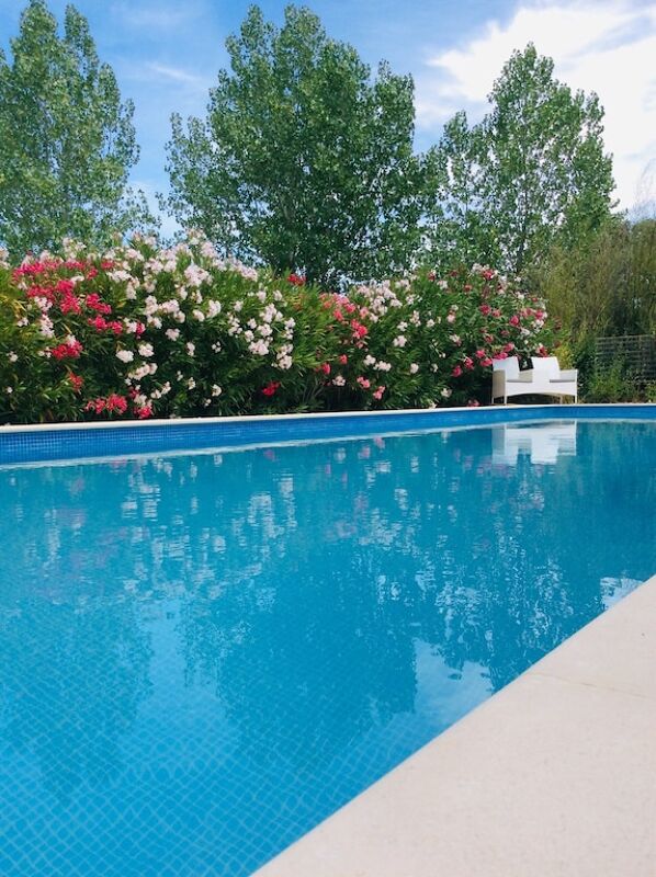 Vista sulla piscina Chalet undefined