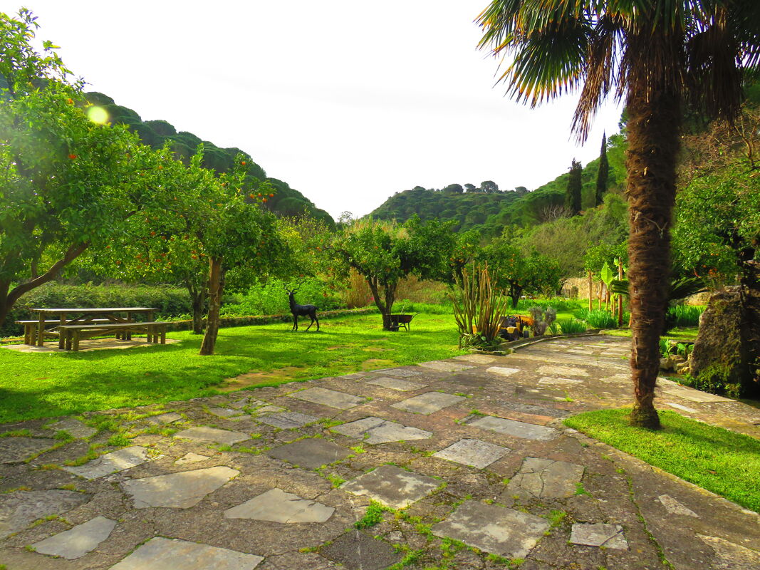 Vista sul giardino Casa Porto de Mós