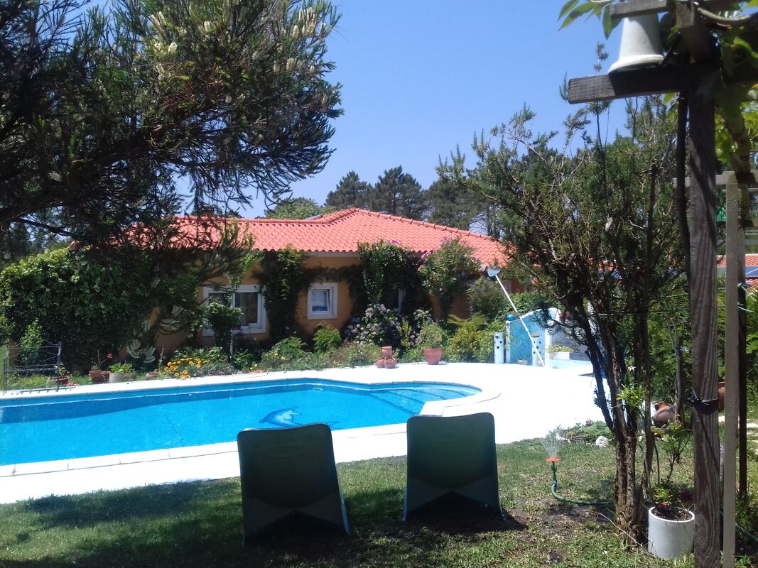 Vista sulla piscina Monolocale Nazaré