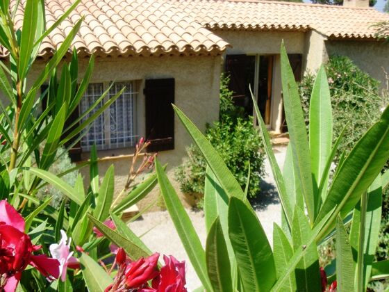 House 800 m away from the beach for 5 ppl. with shared pool and garden