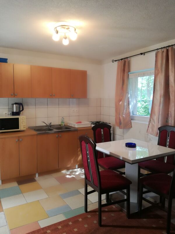 Kitchen Apartment Jadranovo