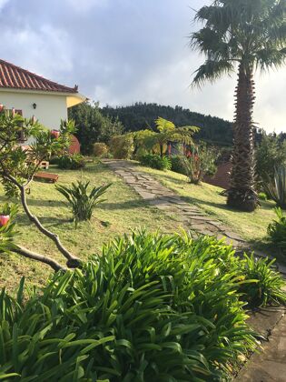 Casa per 3 pers. con vista mare, terrazza e balcone a Ponta Do Pargo