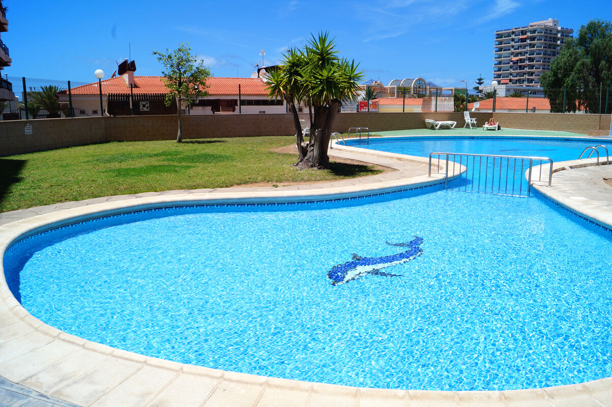 Swimming pool view Apartment Los Cristianos
