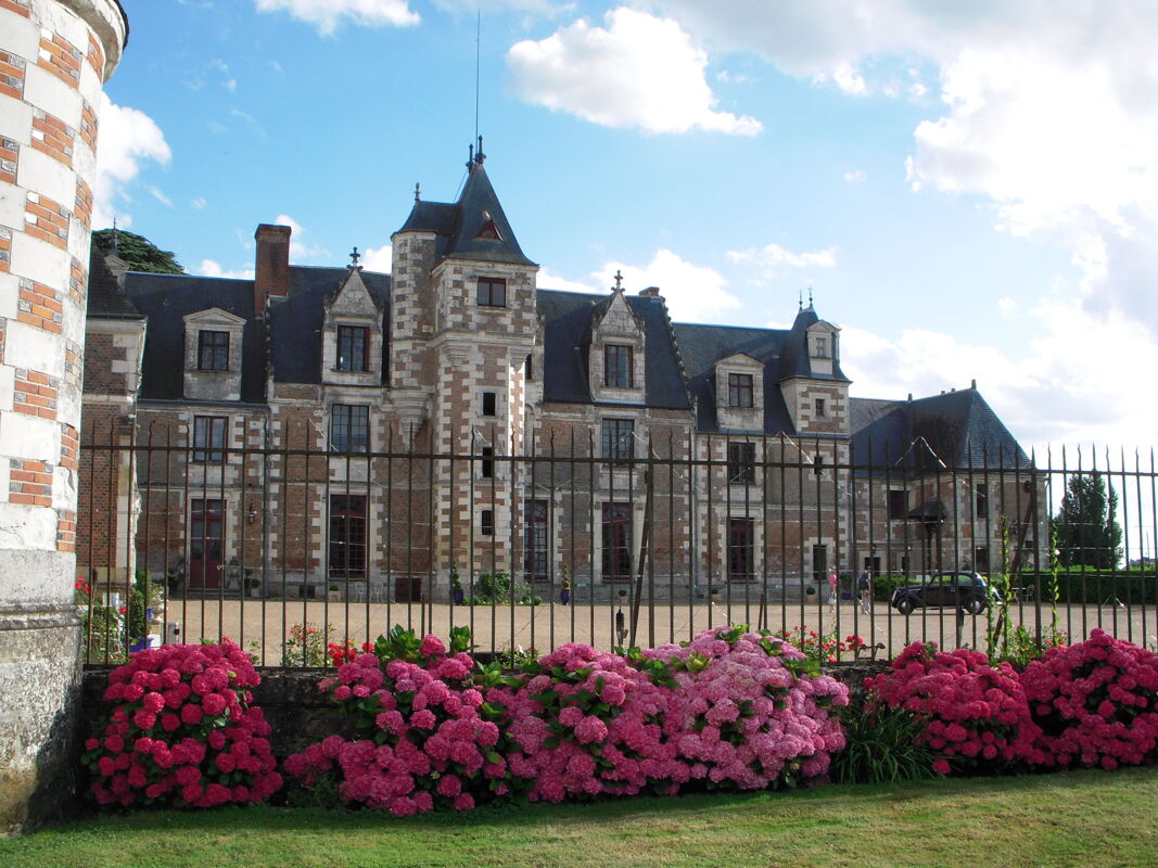 Front view Mansion/Castle Vernou-sur-Brenne