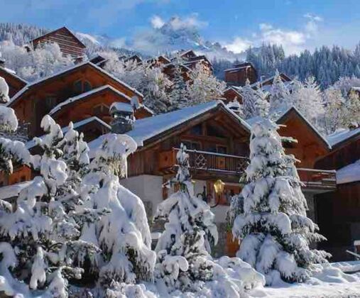 Geräumige Hütte 500 m vom Skigebiet entfernt für 6 Pers. in Les Allues