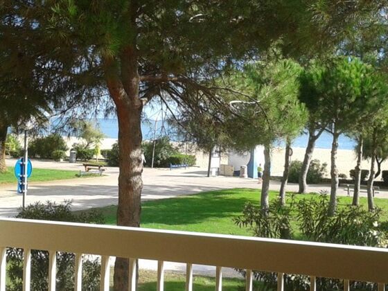 Amazing studio for 4 ppl. with sea view and terrace at Argelès-sur-Mer