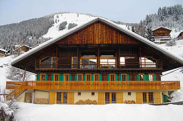 Amazing appartement for 5 ppl. with terrace at Châtel