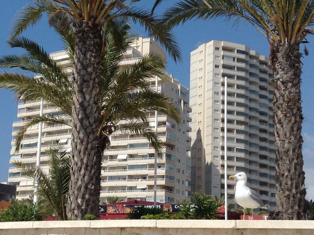 Areal view Apartment Calp