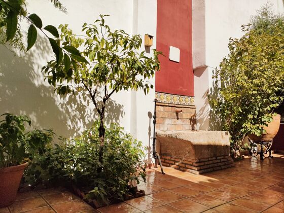 Spacious appartement for 4 ppl. with garden and terrace at Granada