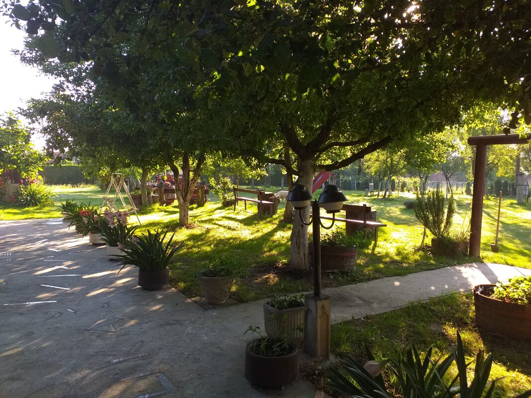 Jardín Bungaló Brinjani
