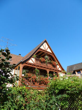 House for 5 ppl. with garden, terrace and balcony at Triembach-au-Val