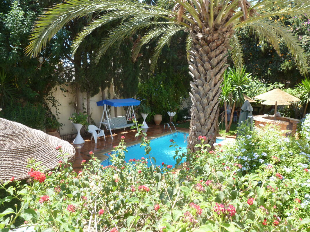 Swimming pool view Villa Hammamet