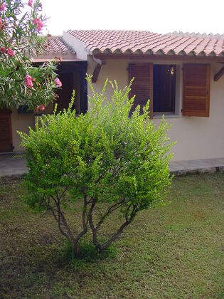 Haus 800 m vom Strand entfernt für 4 Pers. in Loiri Porto San Paolo