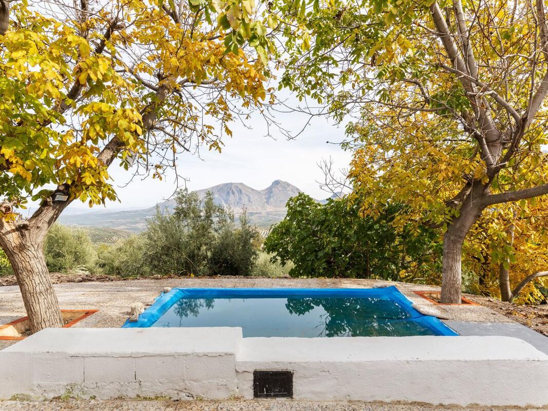 Vista sulla piscina Casa Albanchez de Mágina