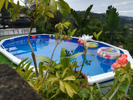 Spacious villa for 5 ppl. with swimming-pool at Vila Nova de Famalicão