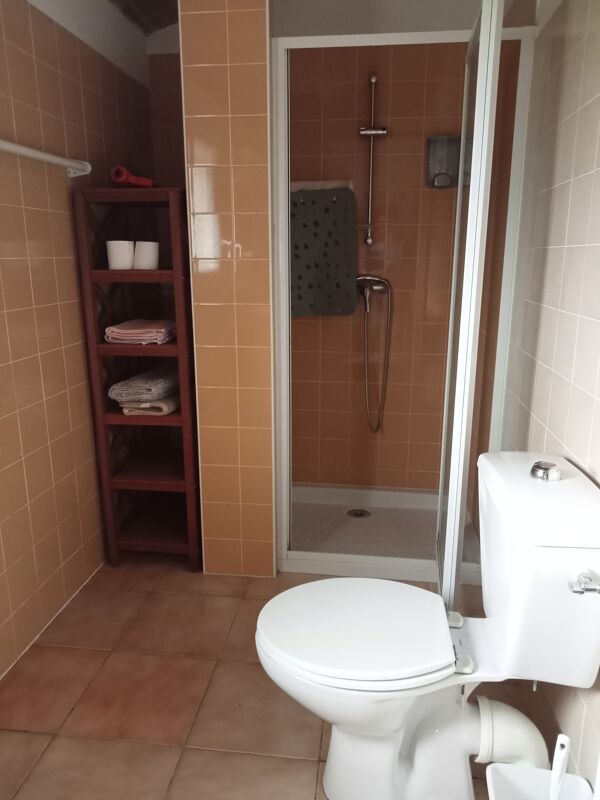 Bathroom Apartment Saint-Martin-de-Hinx